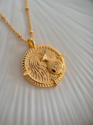 18k gold plated brass Aquarius star sign Zodiac Necklace with cubic zirconia stones and intricate detailing on a coin disc pendant and on fine ball chain.