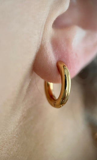 Gold Chubby Hoops - Gold Lunar