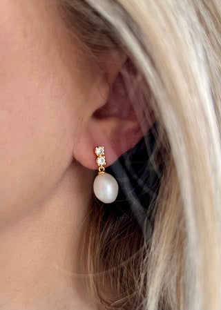 Zircon Pearl Drop Earrings - Gold Lunar