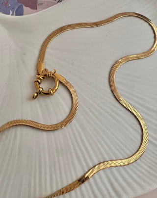 gold plated snake chain with round clasp on a white ceramic dish